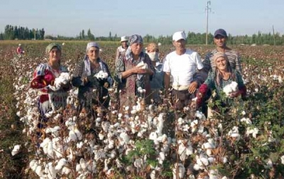 "ШИРМОНБУЛОҚ ФАХРИ" ФЕРМЕР ХЎЖАЛИГИ ОЛТИ ИШ КУНИДА РЕЖАНИ БАЖАРДИ