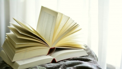 THE ROLE OF A BOOK IS INCOMPARABLE