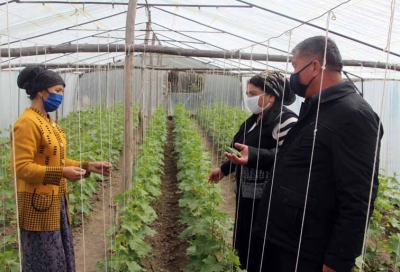 ШАҲРИХОНДА ЭКИН ЭКИЛМАГАН ТОМОРҚА ҚОЛМАДИ