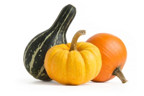 PUMPKIN – THE MOST USEFUL GIFT