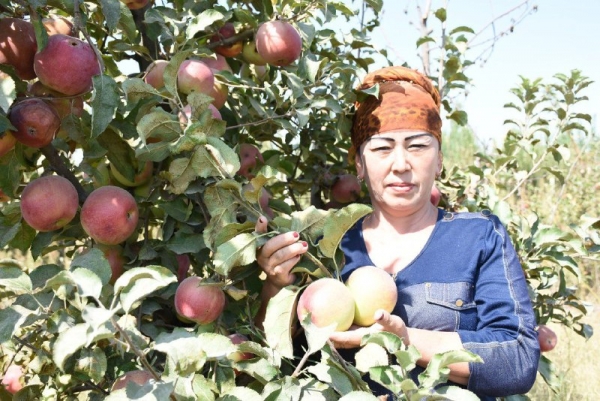 АЁЛ КИШИНИНГ ҚАДАМИ ТЕККАН САҲРО БЎСТОНГА АЙЛАНАДИ