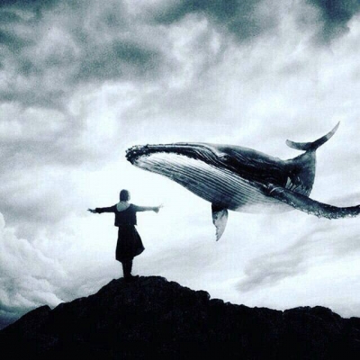 "КЎК КИТ" ЎЙИНИ