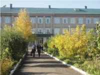 МАКТАБ ҲОВЛИСИ