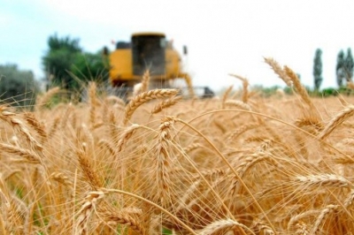 РИЗҚ-РЎЗИМИЗНИ ЁНFИНДАН АСРАЙЛИК